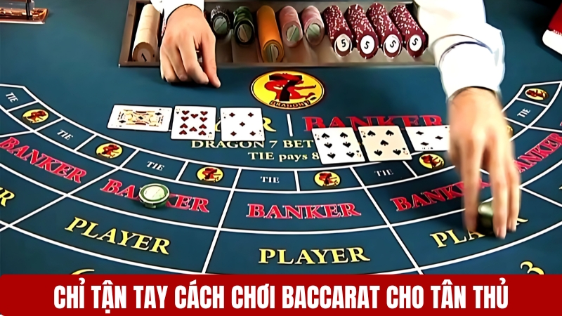 Chỉ tận tay cách chơi Baccarat cho tân thủ