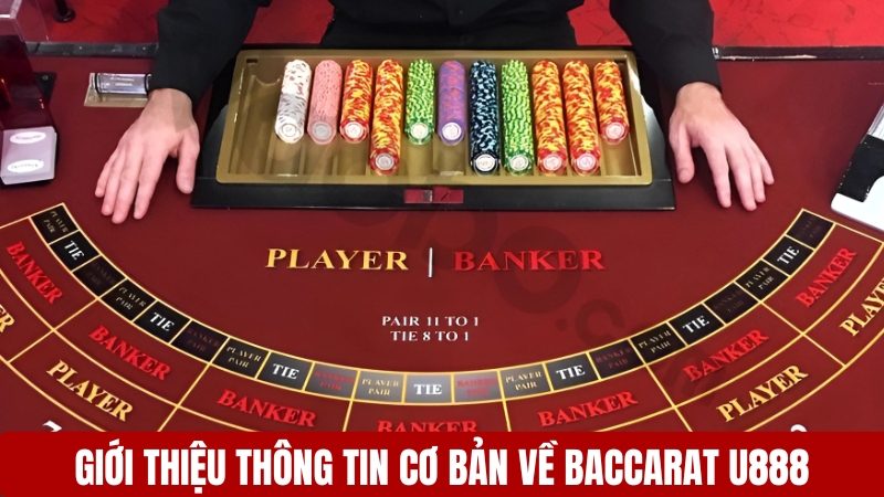 Giới thiệu thông tin cơ bản về Baccarat U888