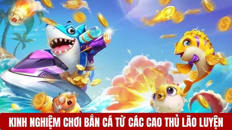 Kinh nghiệm chơi bắn cá từ các cao thủ lão luyện