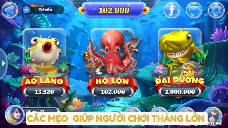 Các mẹo và chiến lược giúp người chơi thắng lớn