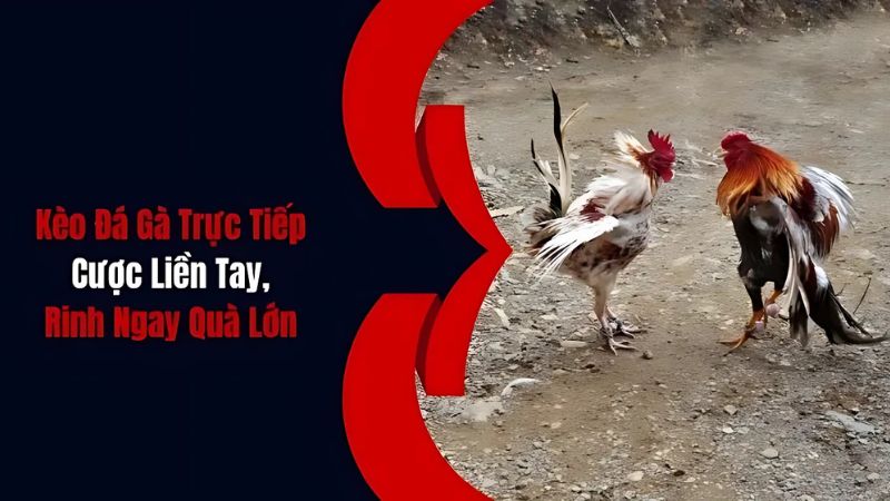 Cửa cược phổ biến cần rõ