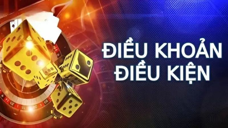 Quyền và trách nhiệm của người chơi tại U888