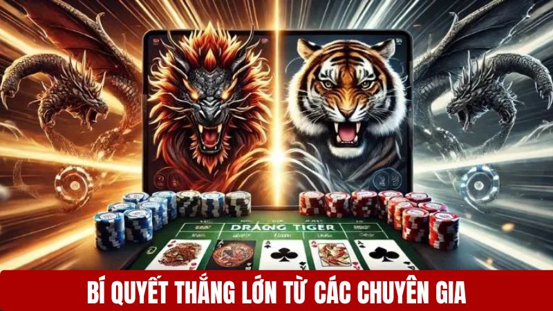 Bí quyết thắng lớn từ các chuyên gia