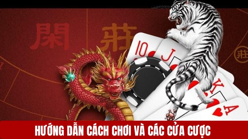 Hướng dẫn cách chơi và các lựa chọn cửa cược trong game