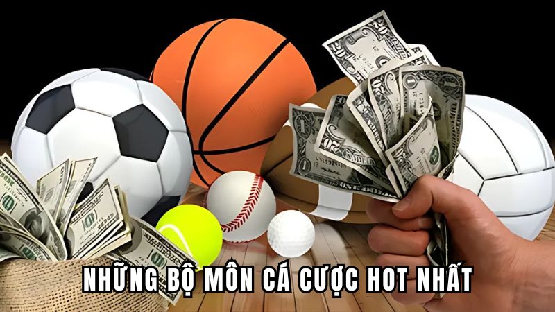Những bộ môn cá cược hot nhất